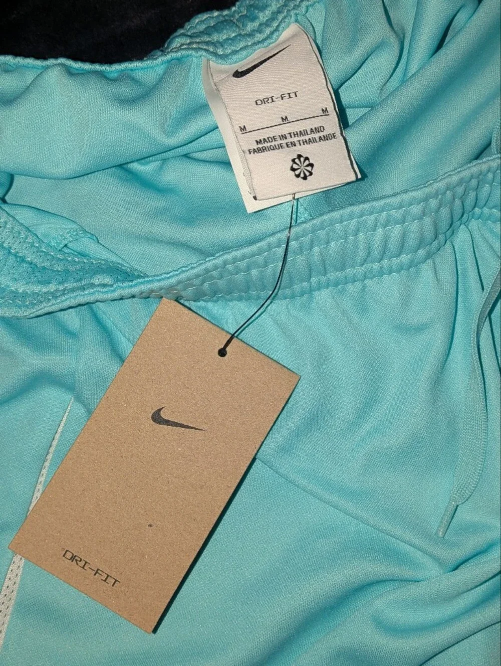 Nike Light Aqua Running Shorts